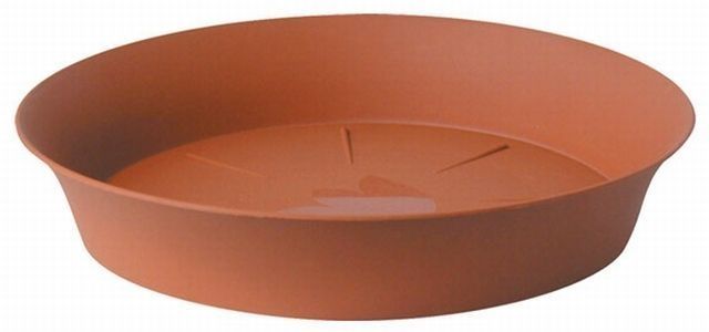 Podmiska 12 cm TERA TULIPÁN