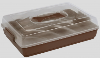 Box na potraviny 43x29,5x12 cm přenosný plast